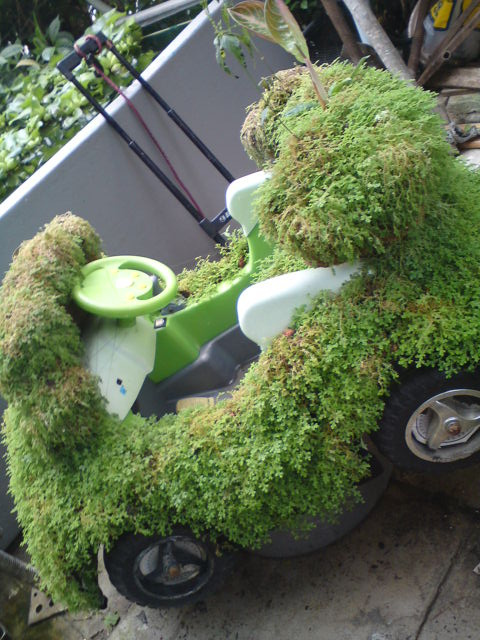 Facts about going green
